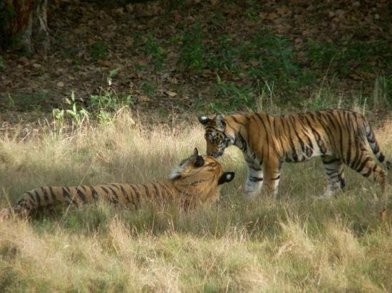 1467874412_1band 2.jpg